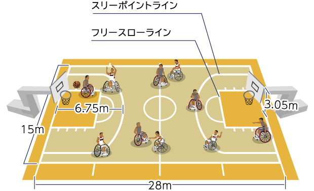 スリーポイントライン フリースローライン 6.75m 3.05m 15m 28m