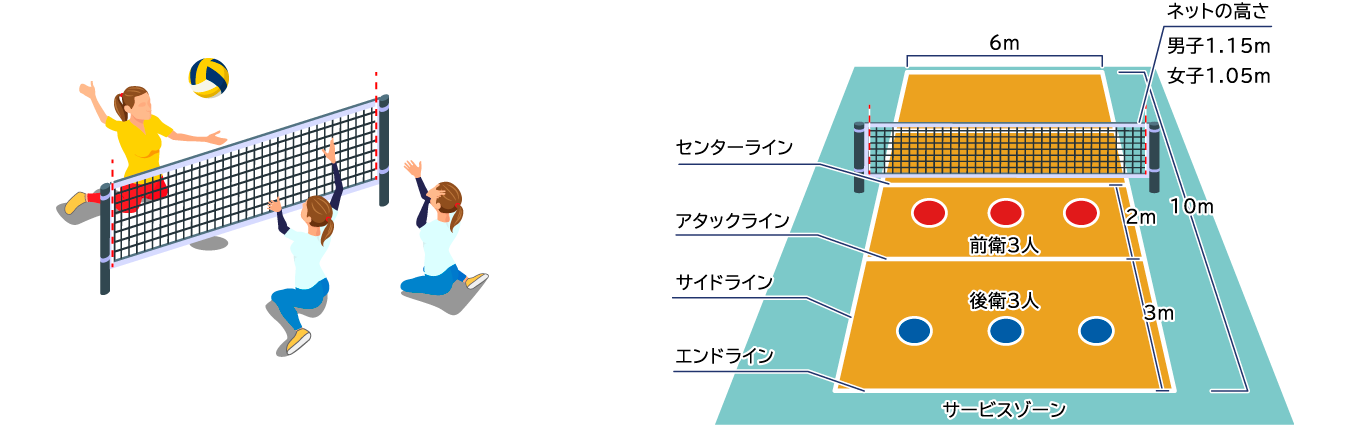 ネットの高さ 男子1.15m 女子1.05m 6m 10m 2m 3m 前衛3人 後衛3人 センターライン アタックライン サイドライン エンドライン サービスゾーン