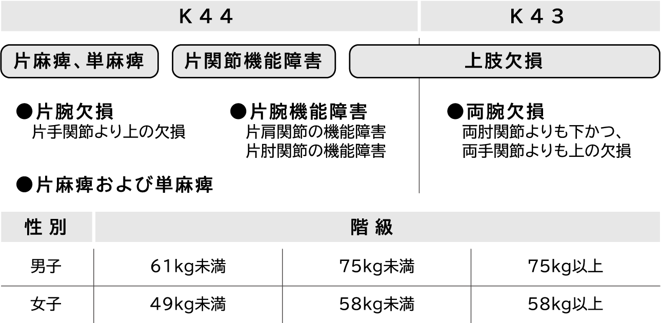 K44 片麻痺、単麻痺 片関節機能障害 上肢欠損 片腕欠損 片手関節より上の欠損 片麻痺および単麻痺 片腕機能障害 片肩関節の機能障害 片肘関節の機能障害 K43 上肢欠損 両腕欠損 両肘関節よりも下かつ、 両手関節よりも上の欠損 片麻痺および単麻痺 性別 男子 階級 61kg未満 75kg未満 75kg以上 性別 女子 階級 49kg未満 58kg未満 58kg以上