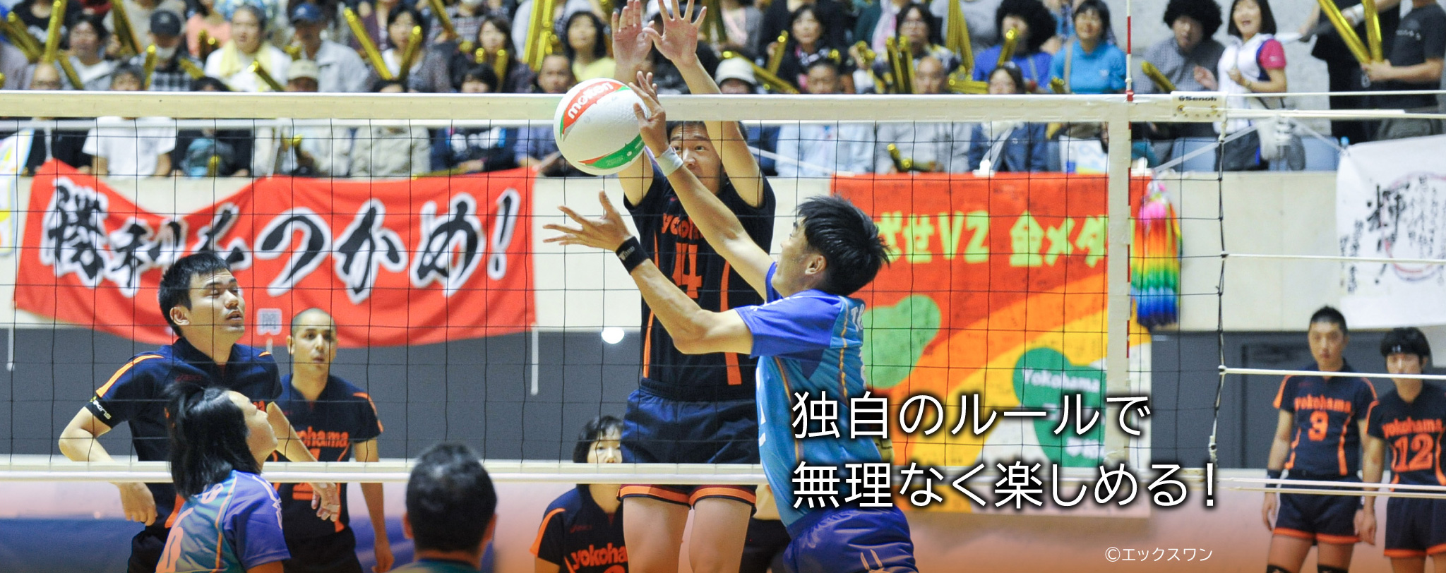 独自のルールで無理なく楽しめる!©エックスワン