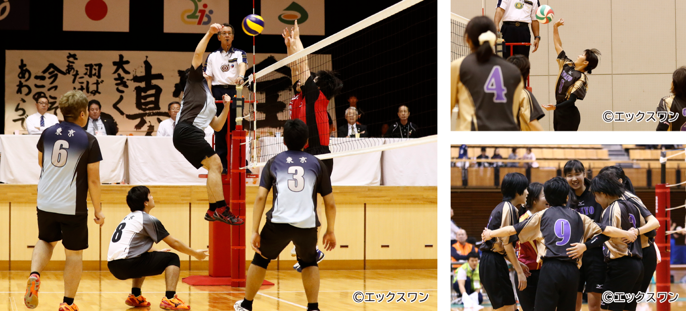 ©エックスワン