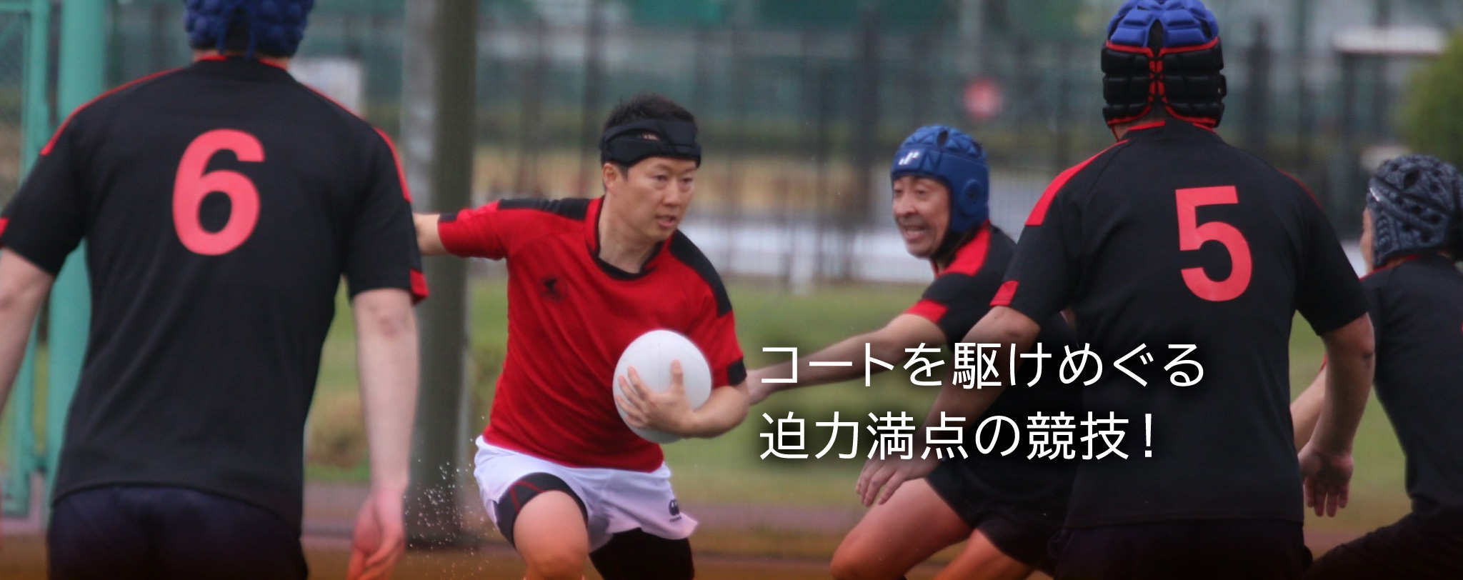 コートを駆けめぐる迫力満点の競技!