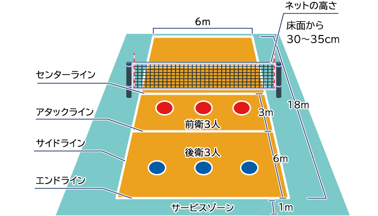 ネットの高さ　床面から30~35cm　6m　18m　3m　3m　前衛3人　後衛3人　センターライン　アタックライン　サイドライン　エンドライン　サービスゾーン